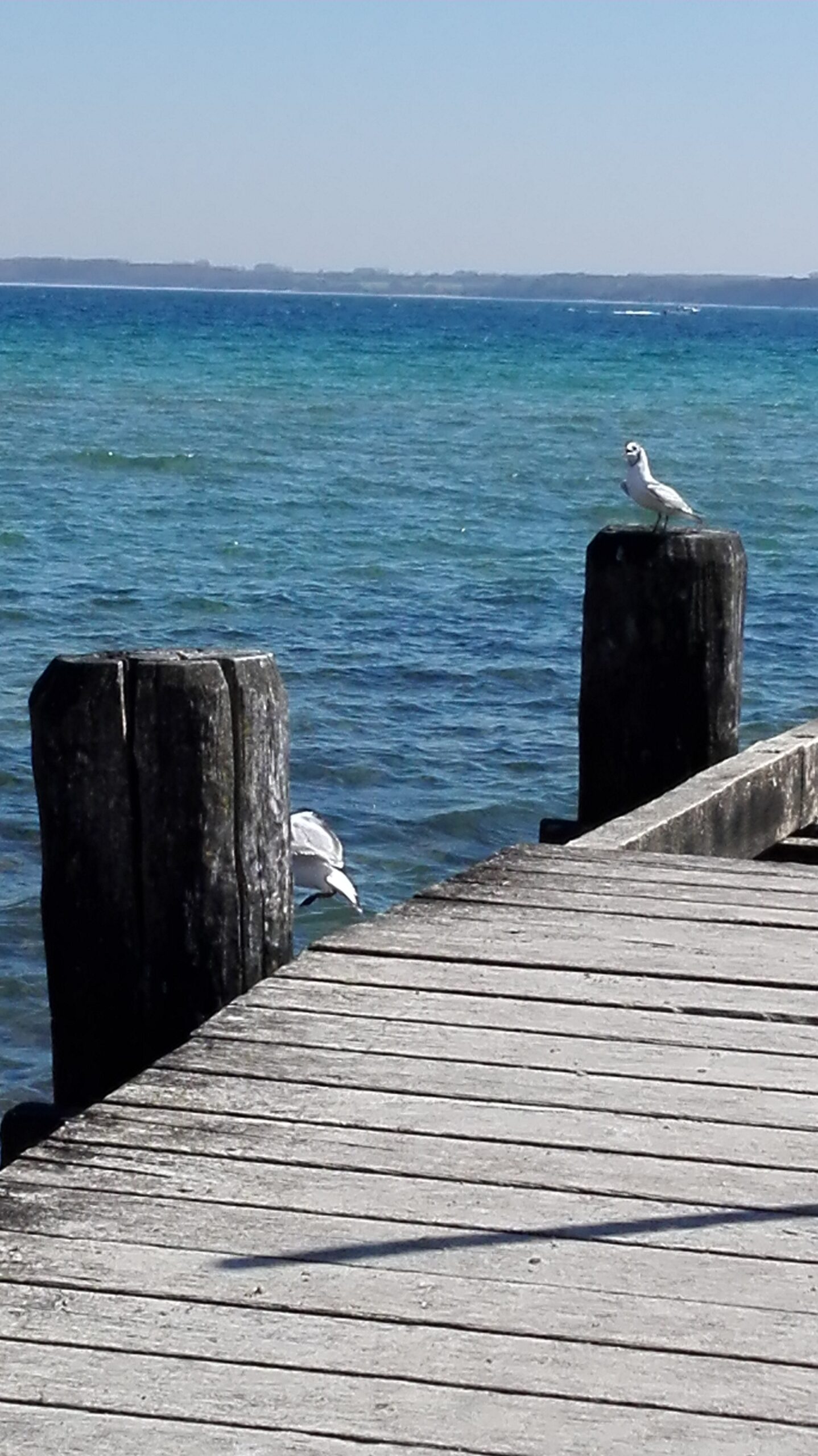 Hisilicon Balong Beispiel-Bild