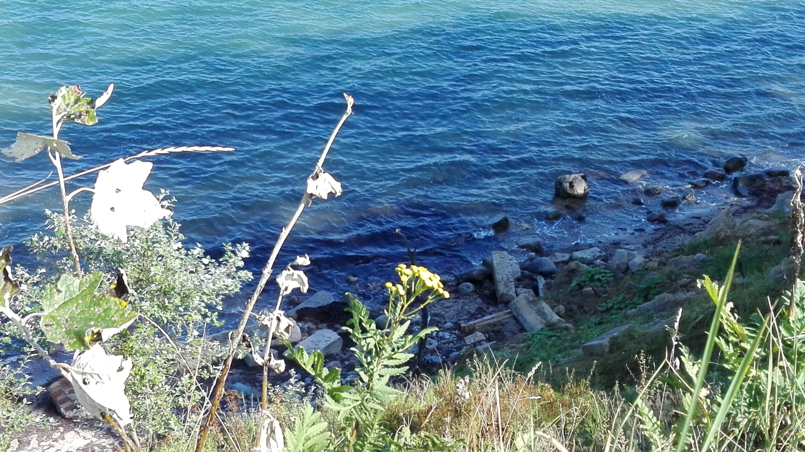 Hisilicon Balong Beispiel-Bild